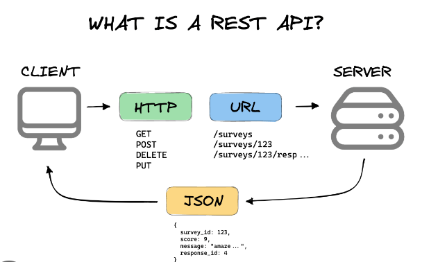 How to access Web API in C# asp.Net server code: Free Guide